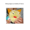 faire un chat en pompon