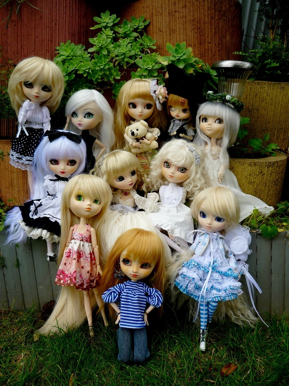 Groupe de pullips blondes