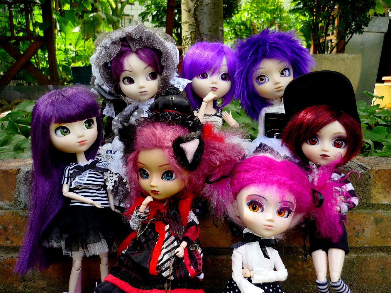 Groupe de pullips violettes